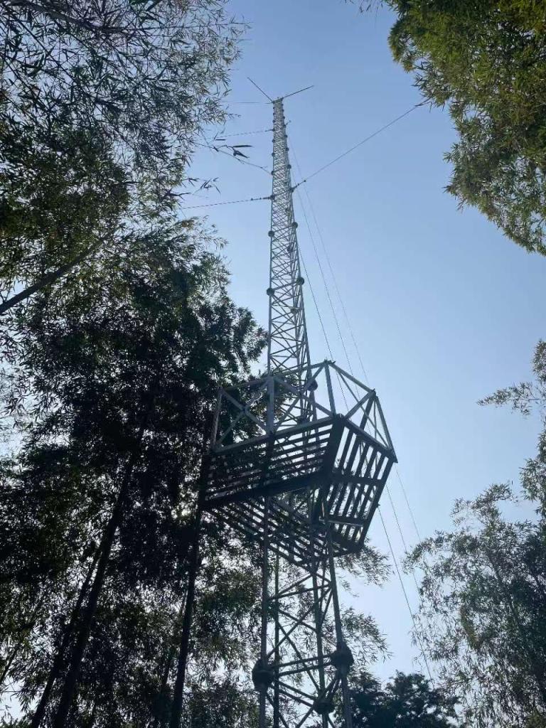 A tall metal communication or observation tower rises above surrounding trees, supported by guy wires, with a platform partway up.