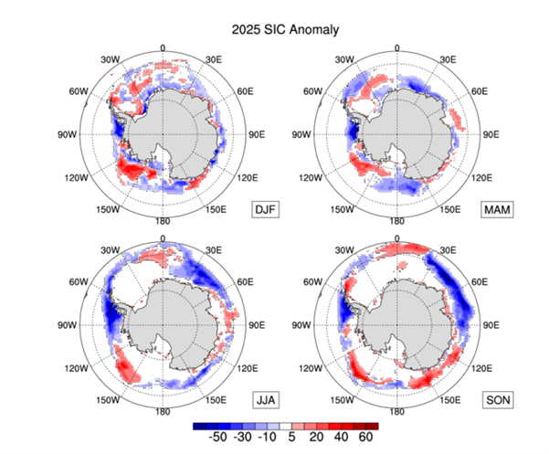 Four polar maps show Antarctic sea ice concentration anomalies for 2025 by season (DJF, MAM, JJA, SON), with red for above and blue for below average values.