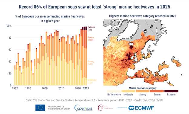 Bar chart and map showing that 86% of European seas are projected to experience strong or extreme marine heatwaves in 2025, with highest impacts around the Mediterranean region.