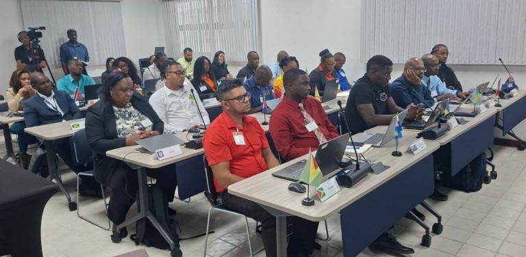 People seated at desks with laptops and national flags attend a meeting or workshop in a conference room.