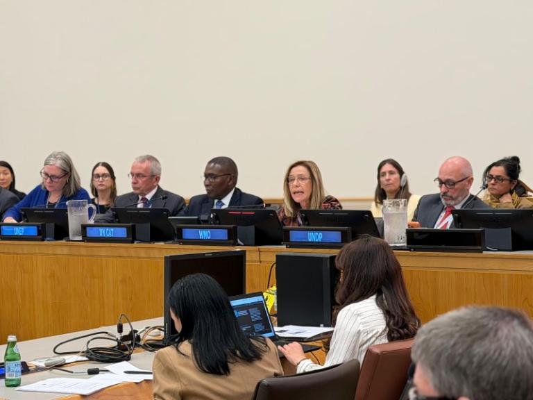 A group of people sit at a long conference table with nameplates and microphones, participating in a formal meeting in a large room.