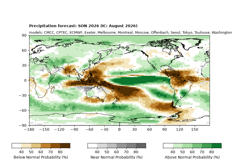 World map showing precipitation probability forecast for September–November 2026, with areas marked for below, near, and above normal precipitation using brown, white, and green color scales.