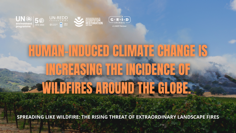 Wildfire risk set to increase: UNEP