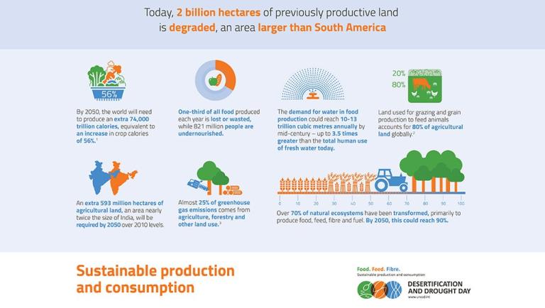 Desertification and drought day