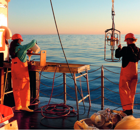 State of the Global Ocean Observing System in 2021 – recovering from the pandemic 