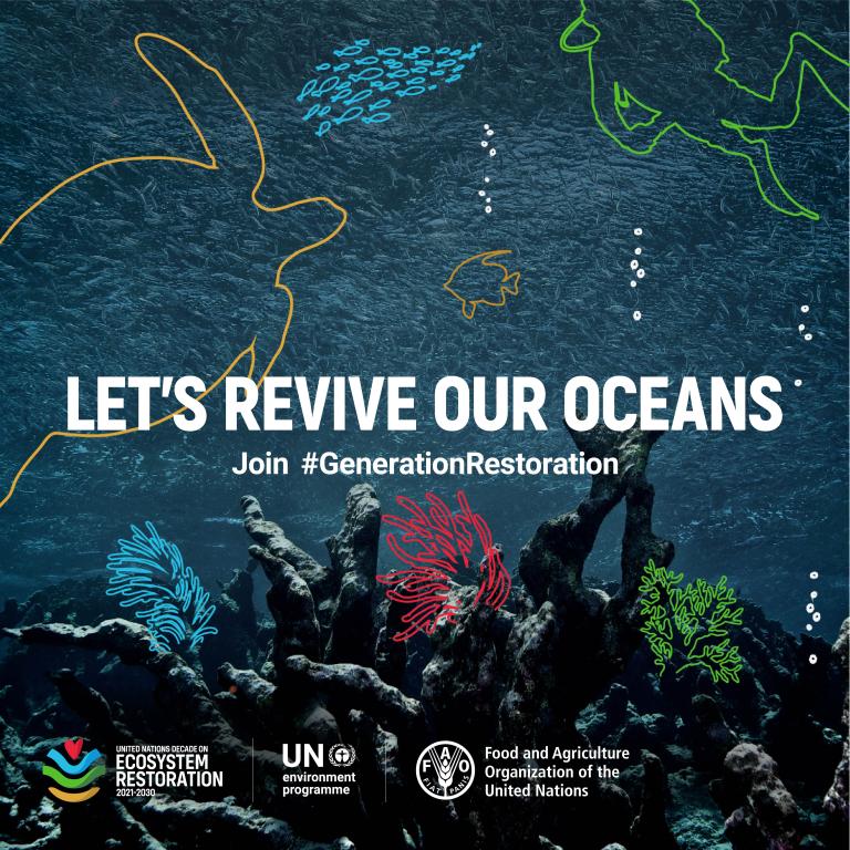 World Environment Day focuses on ecosystem restoration