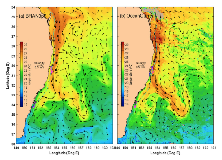 Typical example of (a) Bluelink reanalysis fields