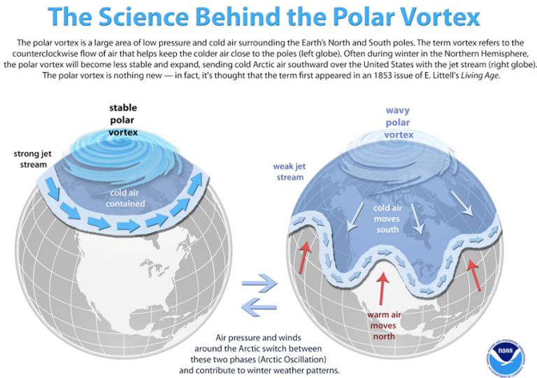 Polar Vortex