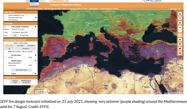 Wildfires in northern hemisphere summer 2021