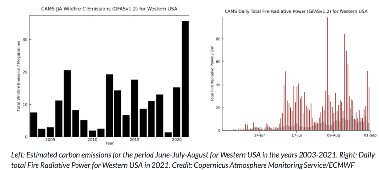 Wildfires causes record emissions