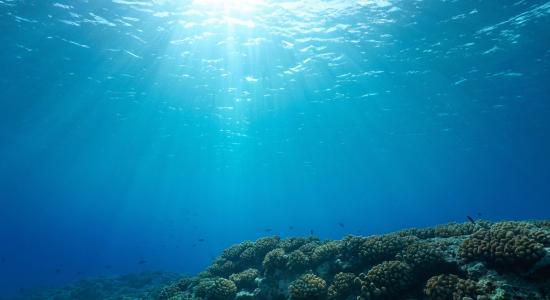 One Ocean summit boosts observations