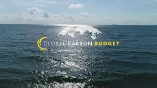 The Global Carbon Project 