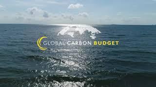 The Global Carbon Project