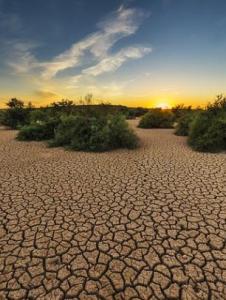 World Met Day 2020: Drought