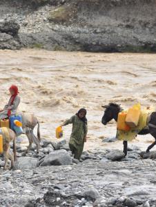 A group of people on donkeys carrying water jugs.