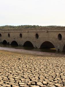 Desertification and drought day