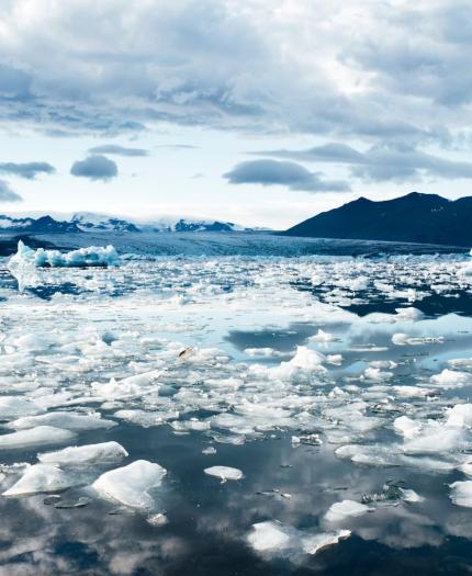 Large chunks and sheets of ice float on a calm, reflective body of water, with mountains and a cloudy sky in the background.