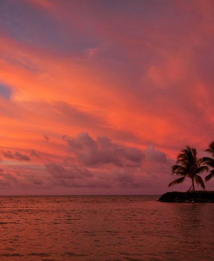 Small island with palm trees silhouetted against a vivid orange and pink sunset sky over calm ocean water.