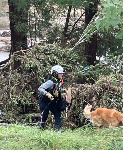 A rescue worker in safety gear walks with a dog near debris and fallen branches in a forested area after a flood.