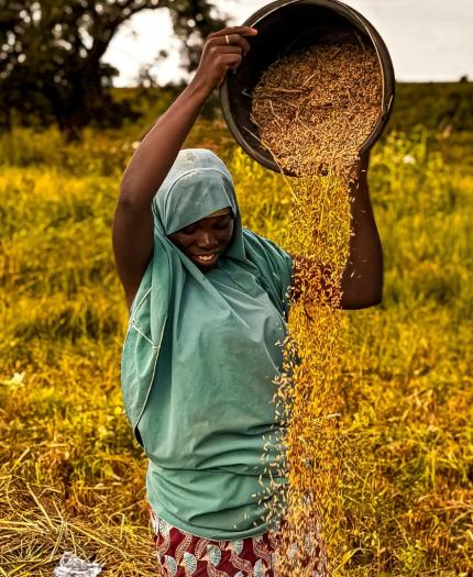 A person wearing a green headscarf and shirt pours a bucket of grains over a field with tall grass and trees in the background.