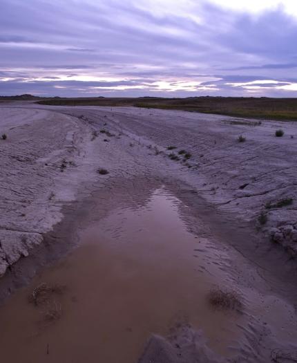 A muddy, shallow stream flows through a dry, cracked landscape under a cloudy sky at dusk, with minimal vegetation and a lone tree in the distance.