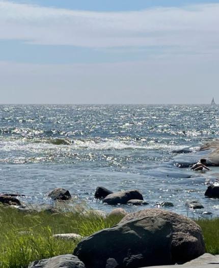 Rocky shoreline with grass in the foreground, waves in the sea, a few people near the water, and a sailboat visible in the distance under a partly cloudy sky.