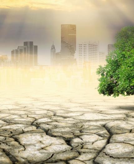 A green tree stands on dry, cracked earth with a hazy city skyline in the background under a partly cloudy sky with sun rays.
