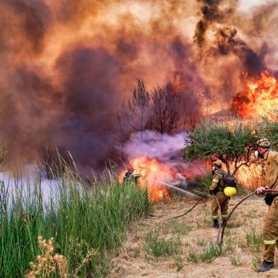Two firefighters in protective gear use hoses to battle a large wildfire, with thick smoke and tall flames consuming vegetation around them.
