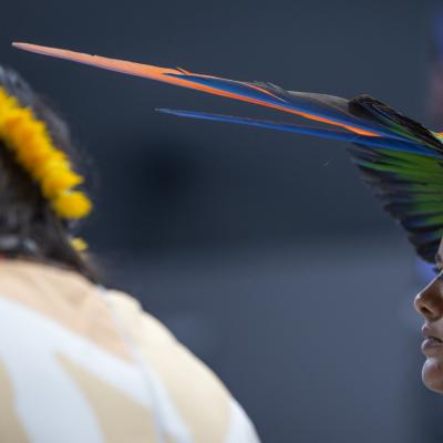 A woman wearing a feathered headdress and yellow flower earrings, with traditional face paint, is shown in profile against a blurred background.