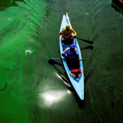 Two people paddle a blue canoe through green, algae-covered water, with bright sunlight reflecting off the surface.