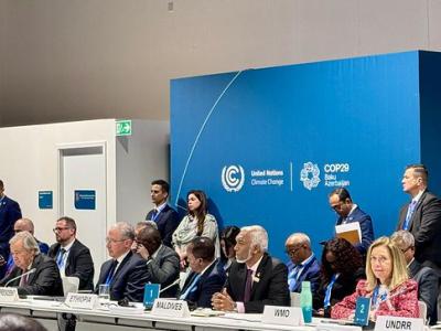 A group of people in formal attire seated and standing at tables in a conference room with a blue United Nations Climate Change backdrop.