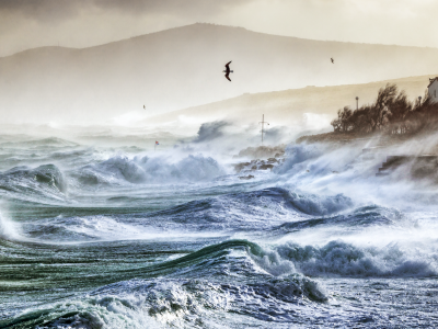 The Ocean, weather, climate and the Earth system – new approaches and looking forward together